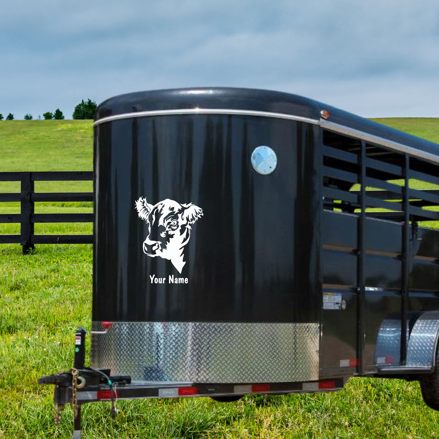 Black Angus Bull Car Decal: Angus Cow Decal: Vinyl Livestock Show Car Sticker | Custom Vinyl Decal, FFA, 4-H. AG