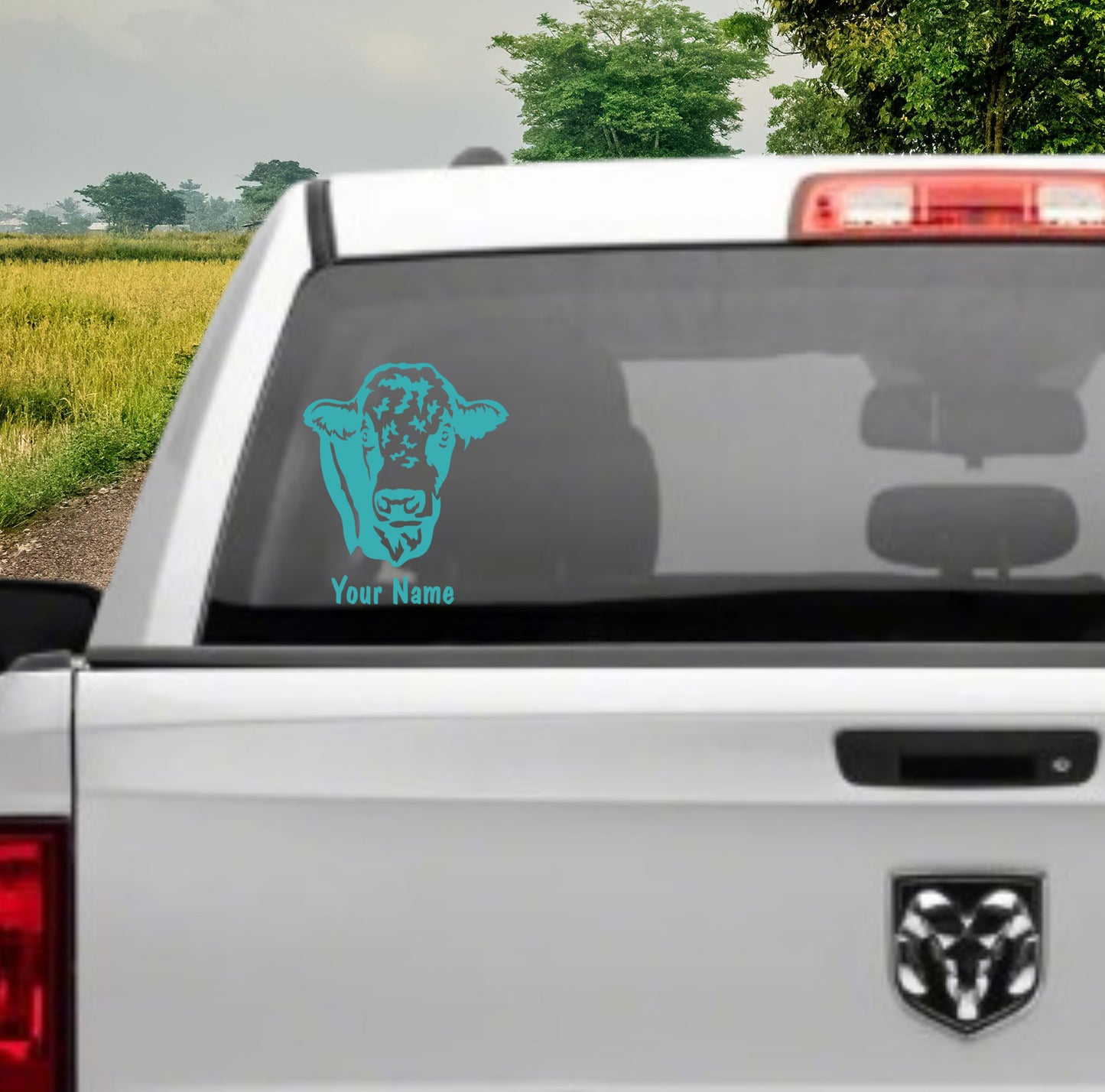 Simmental Bull Cattle Decal, Personalized Custom Livestock vinyl Sticker Car Decal, FFA, 4-H. AG